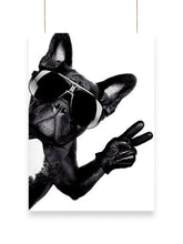 Cool Dog | Cool - Poster | 31